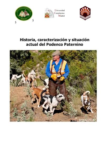 podenco paternino|Historia, caracterización y situación actual del Podenco。